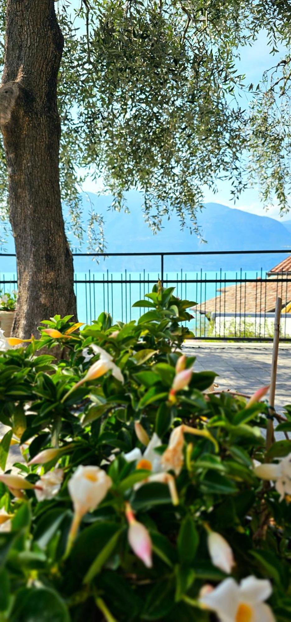 Apartament 59 Brenzone sul Garda Εξωτερικό φωτογραφία